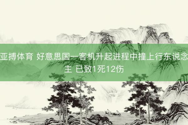 亚搏体育 好意思国一客机升起进程中撞上行东说念主 已致1死12伤