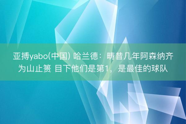 亚搏yabo(中国) 哈兰德:畴昔几年阿森纳齐为山止篑 目下他们是第1,是最佳的球队