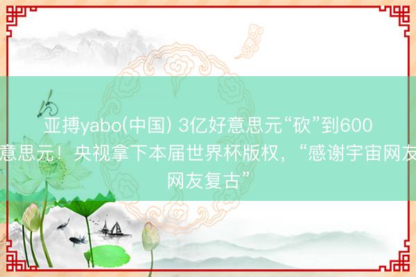 亚搏yabo(中国) 3亿好意思元“砍”到6000万好意思元！央视拿下本届世界杯版权，“感谢宇宙网友复古”