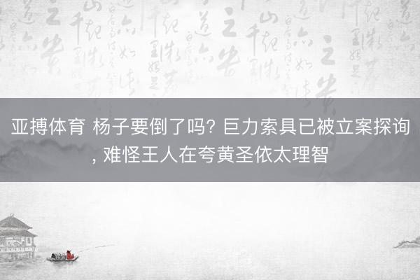 亚搏体育 杨子要倒了吗? 巨力索具已被立案探询， 难怪王人在夸黄圣依太理智