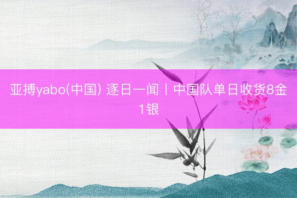 亚搏yabo(中国) 逐日一闻丨中国队单日收货8金1银