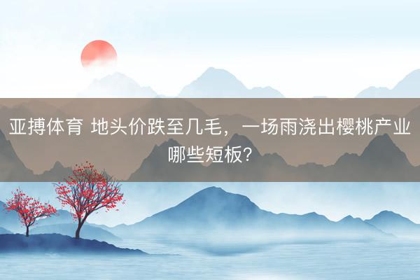 亚搏体育 地头价跌至几毛，一场雨浇出樱桃产业哪些短板？