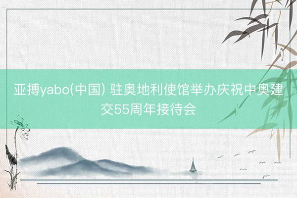 亚搏yabo(中国) 驻奥地利使馆举办庆祝中奥建交55周年接待会