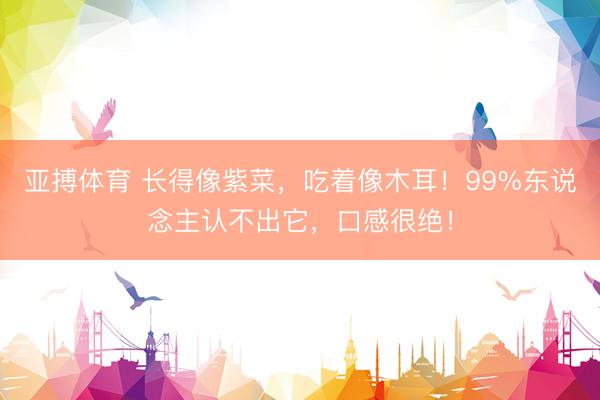 亚搏体育 长得像紫菜，吃着像木耳！99%东说念主认不出它，口感很绝！