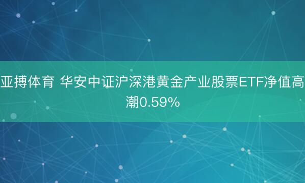 亚搏体育 华安中证沪深港黄金产业股票ETF净值高潮0.59%