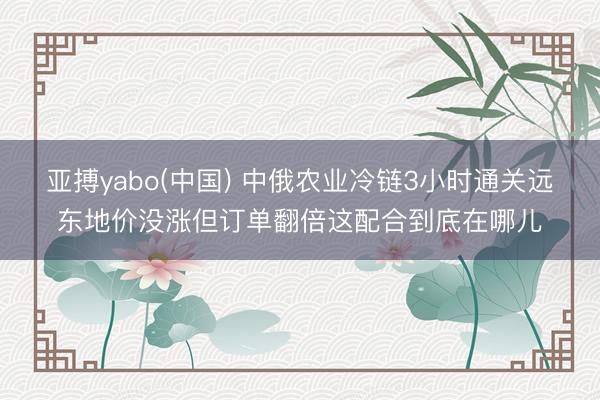 亚搏yabo(中国) 中俄农业冷链3小时通关远东地价没涨但订单翻倍这配合到底在哪儿