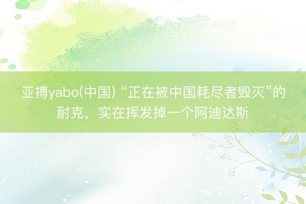 亚搏yabo(中国) “正在被中国耗尽者毁灭”的耐克，实在挥发掉一个阿迪达斯