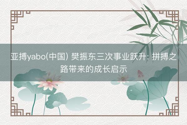 亚搏yabo(中国) 樊振东三次事业跃升: 拼搏之路带来的成长启示