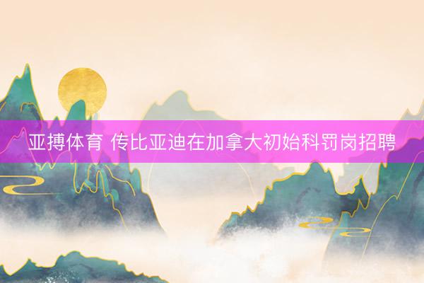 亚搏体育 传比亚迪在加拿大初始科罚岗招聘