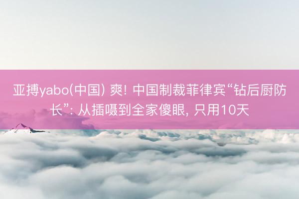亚搏yabo(中国) 爽! 中国制裁菲律宾“钻后厨防长”: 从插嗫到全家傻眼， 只用10天