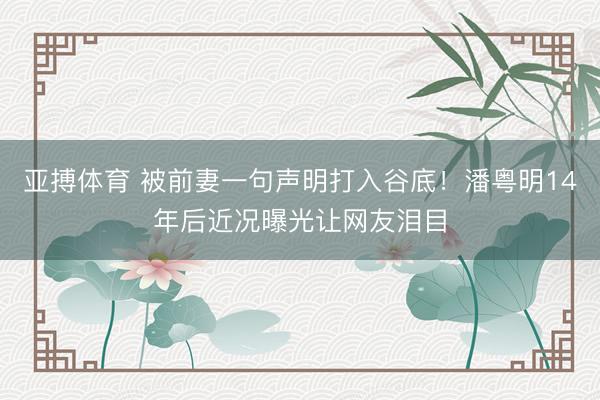 亚搏体育 被前妻一句声明打入谷底!潘粤明14年后近况曝光让网友泪目