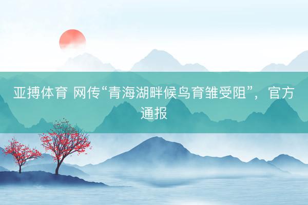 亚搏体育 网传“青海湖畔候鸟育雏受阻”，官方通报