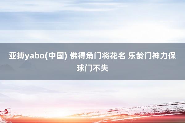亚搏yabo(中国) 佛得角门将花名 乐龄门神力保球门不失