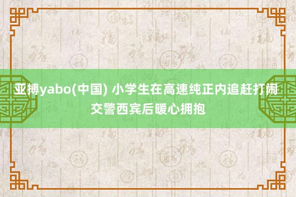 亚搏yabo(中国) 小学生在高速纯正内追赶打闹 交警西宾后暖心拥抱