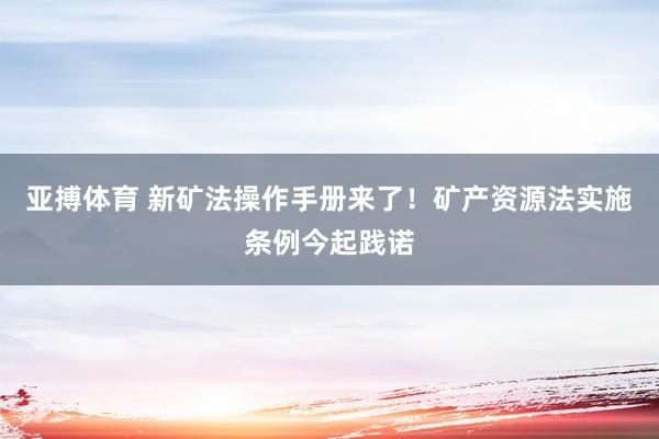 亚搏体育 新矿法操作手册来了！矿产资源法实施条例今起践诺