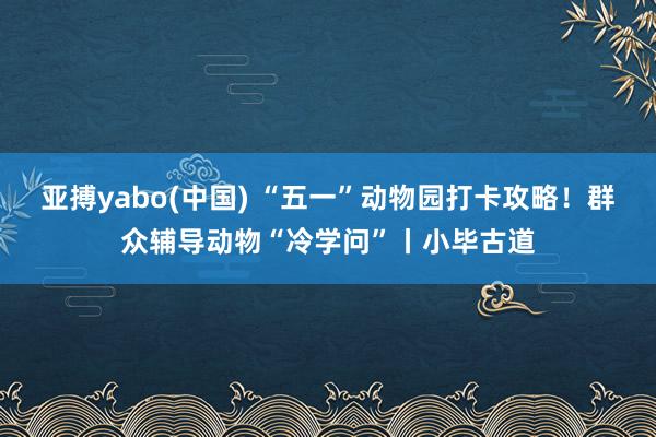 亚搏yabo(中国) “五一”动物园打卡攻略！群众辅导动物“冷学问”丨小毕古道