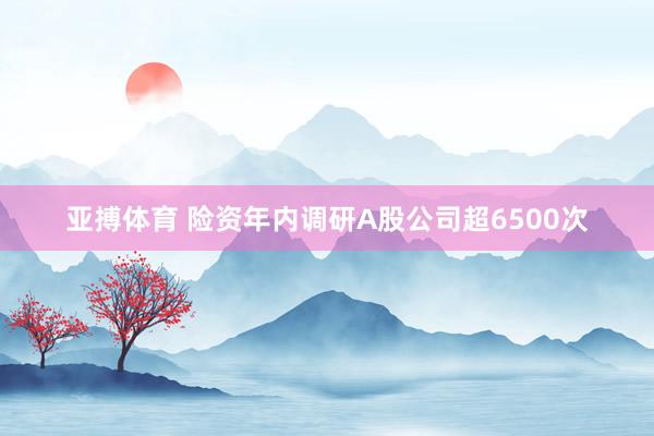 亚搏体育 险资年内调研A股公司超6500次